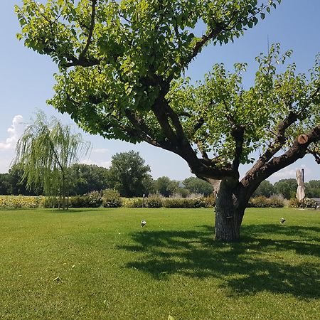 Agriturismo Villa Al Piano Todi Bagian luar foto