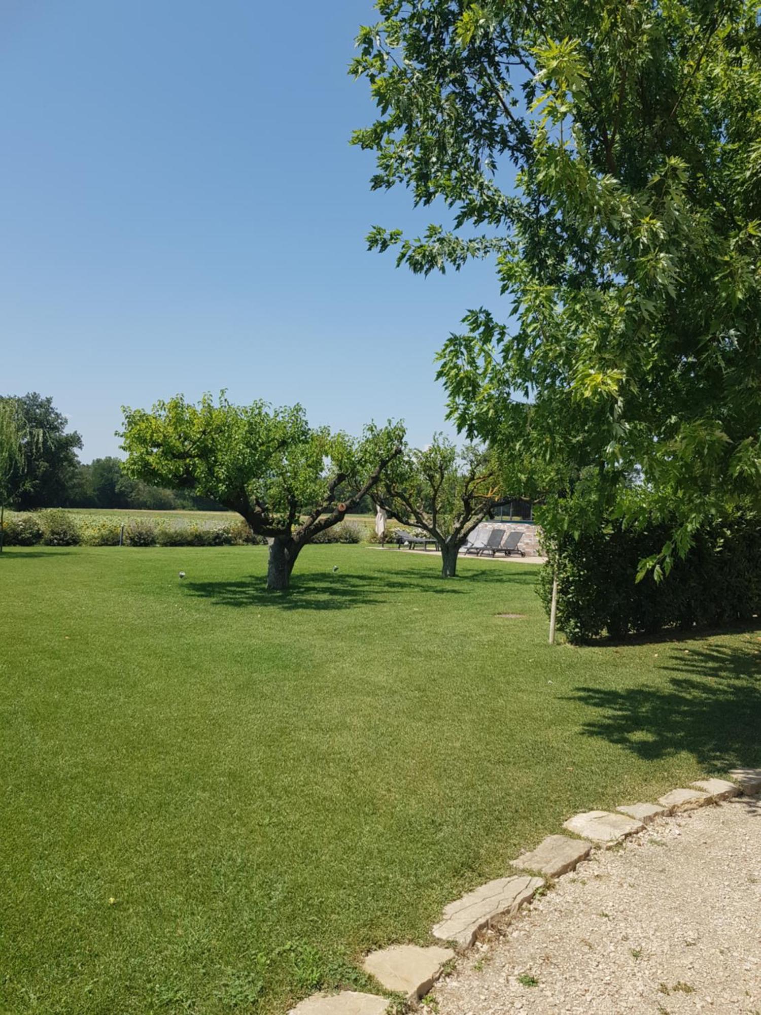 Agriturismo Villa Al Piano Todi Bagian luar foto