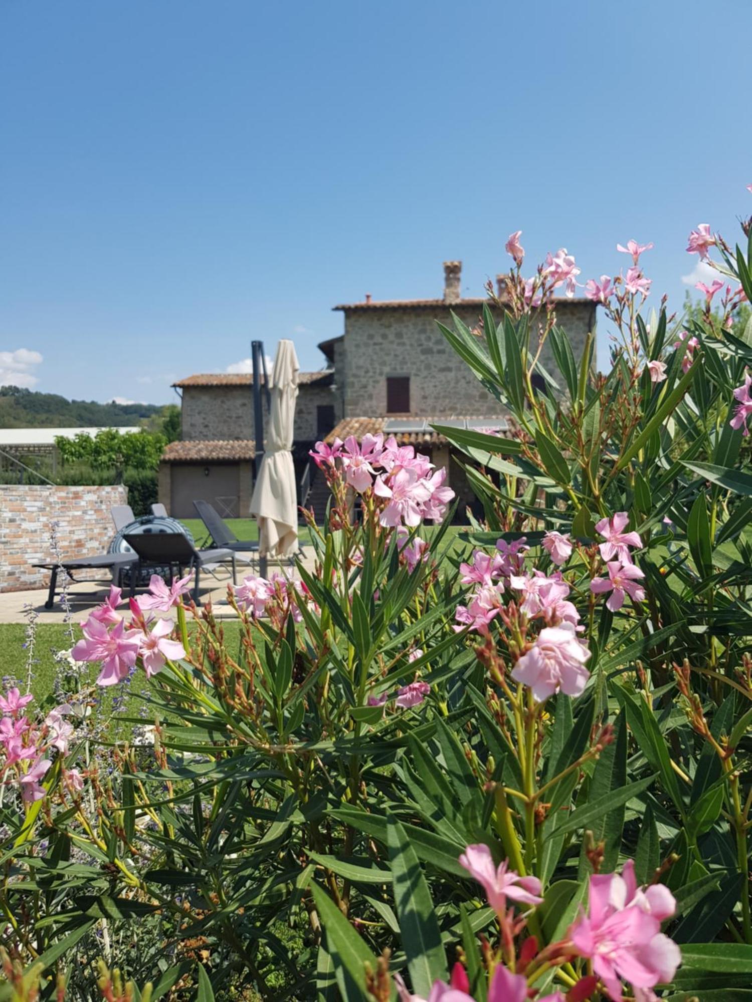 Agriturismo Villa Al Piano Todi Bagian luar foto