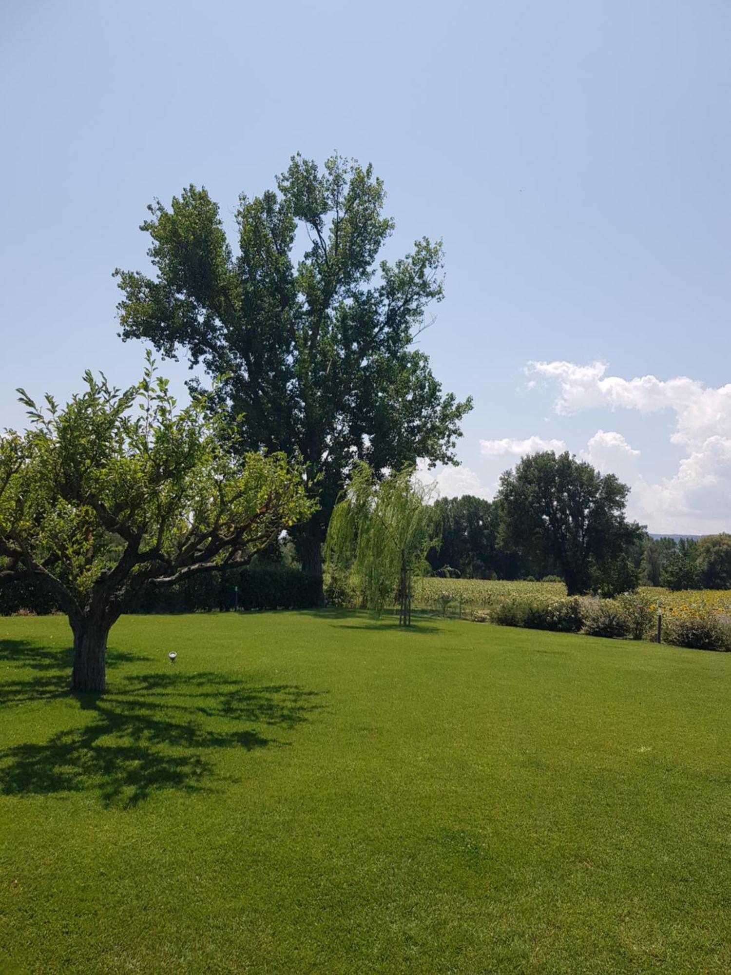 Agriturismo Villa Al Piano Todi Bagian luar foto