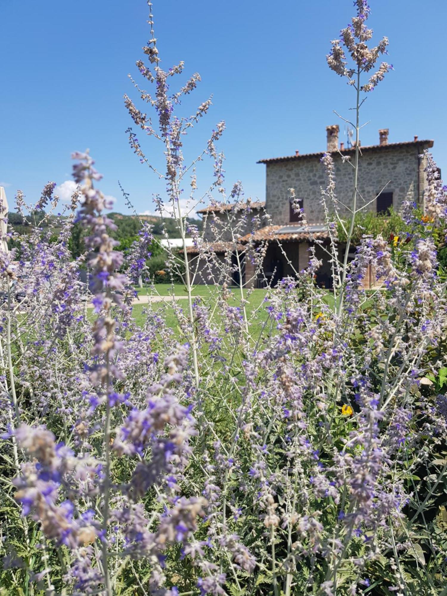 Agriturismo Villa Al Piano Todi Bagian luar foto