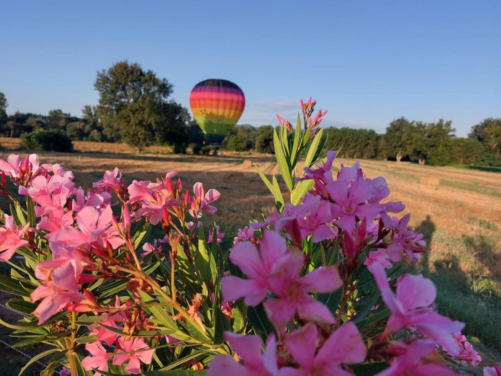 Agriturismo Villa Al Piano Todi Bagian luar foto